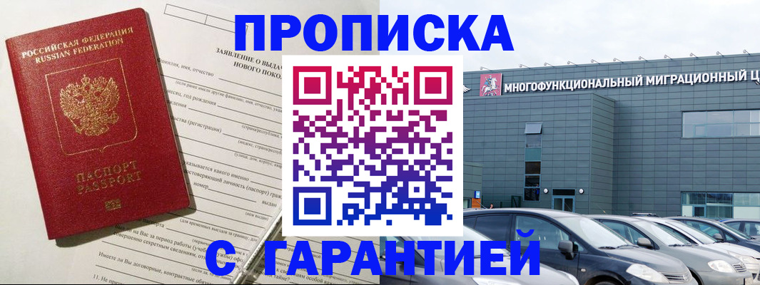прописка поиск в Тынде